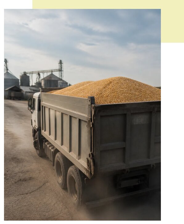 Перевозка сельхозпродукции навалом в Губкин по цене от 3047 р. | Агросервис-Гбк